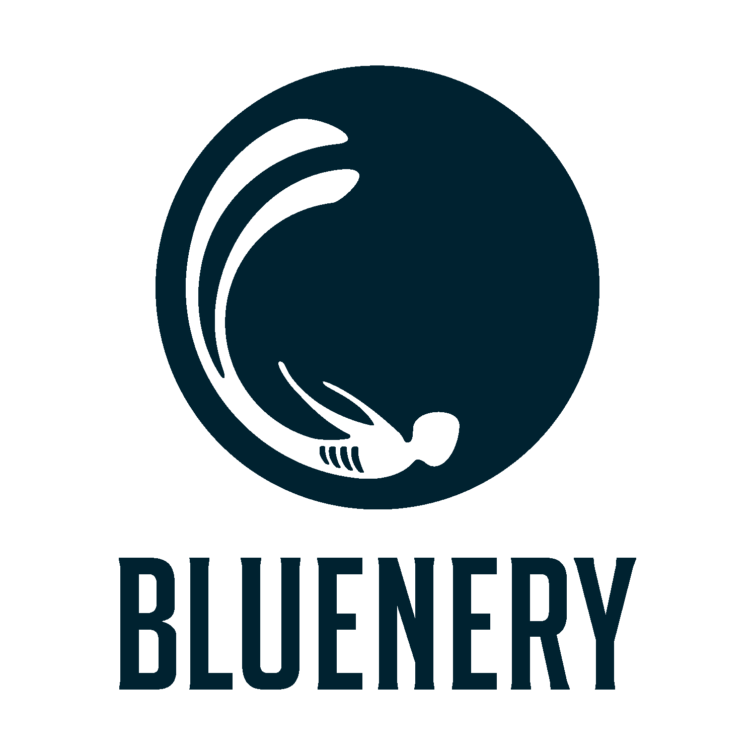 thumbnail_logo Bluenery 2 – Bluenery
